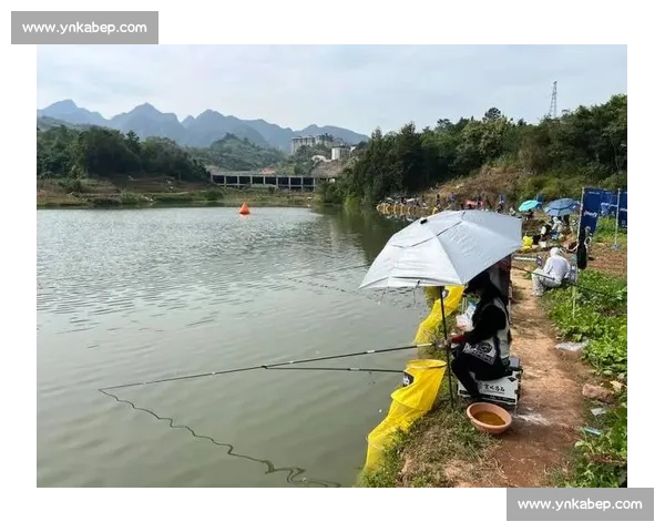 2016年精彩钓鱼比赛全程回顾 不容错过的钓技对决与激烈赛事瞬间